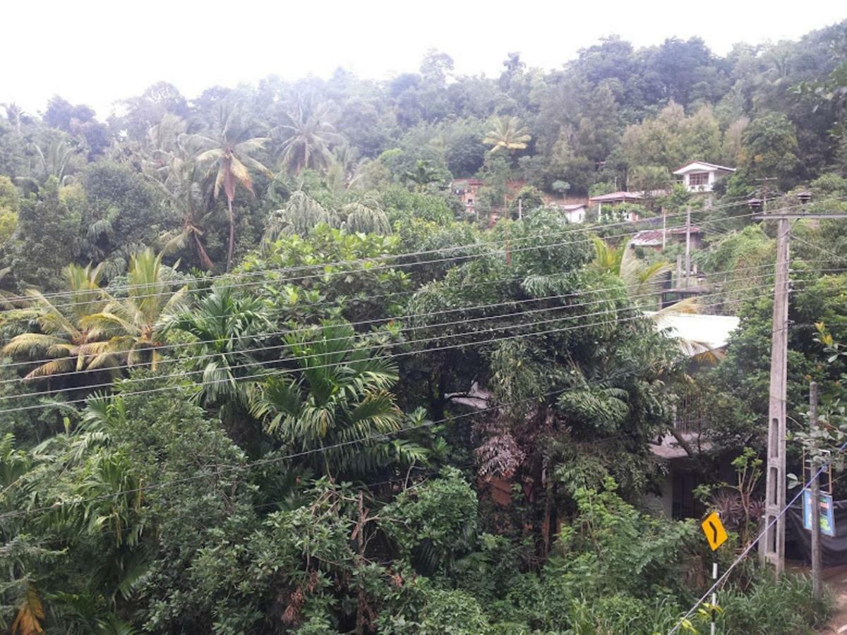 Greenwood Kandy Homestay 외부 사진
